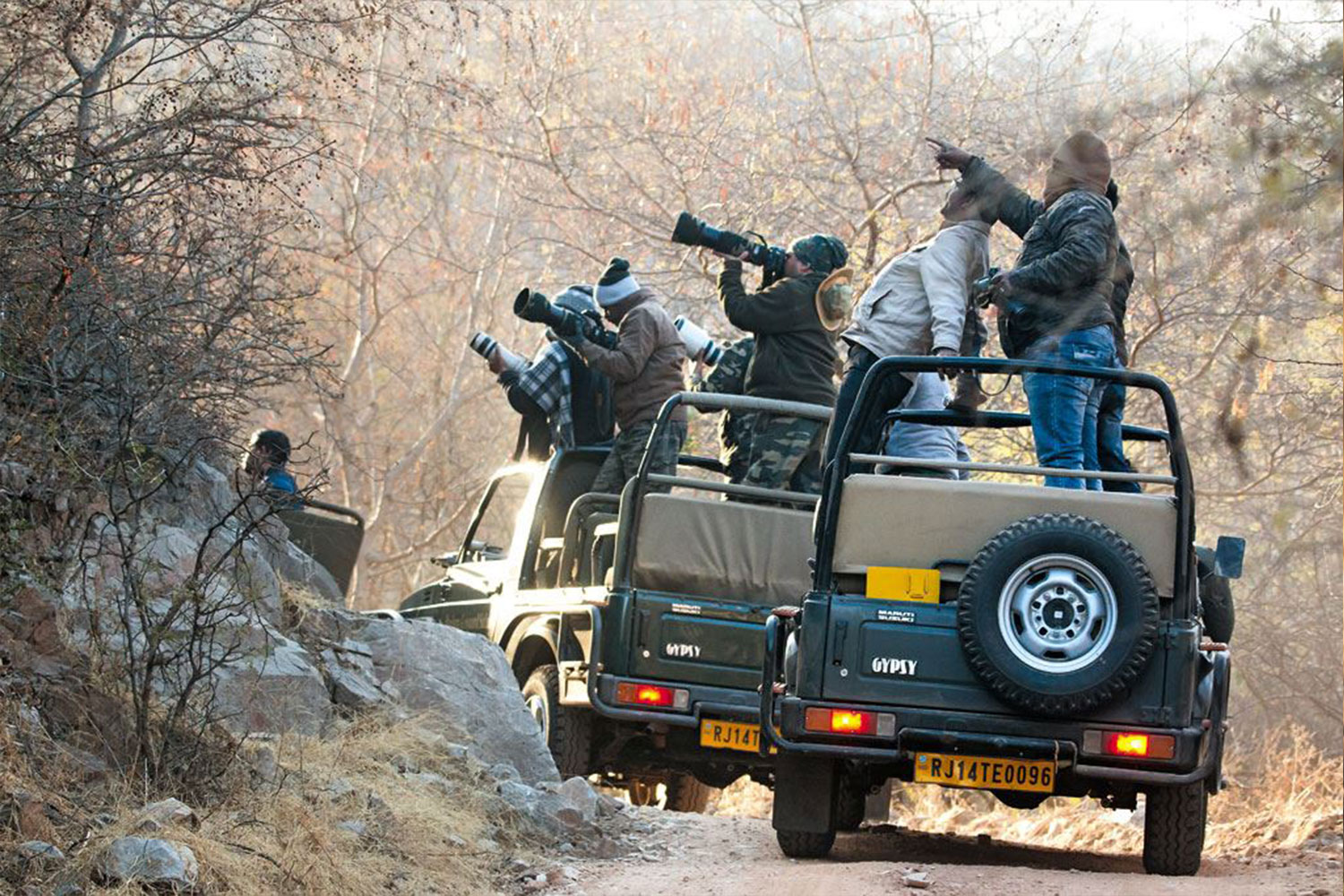 jawai safari